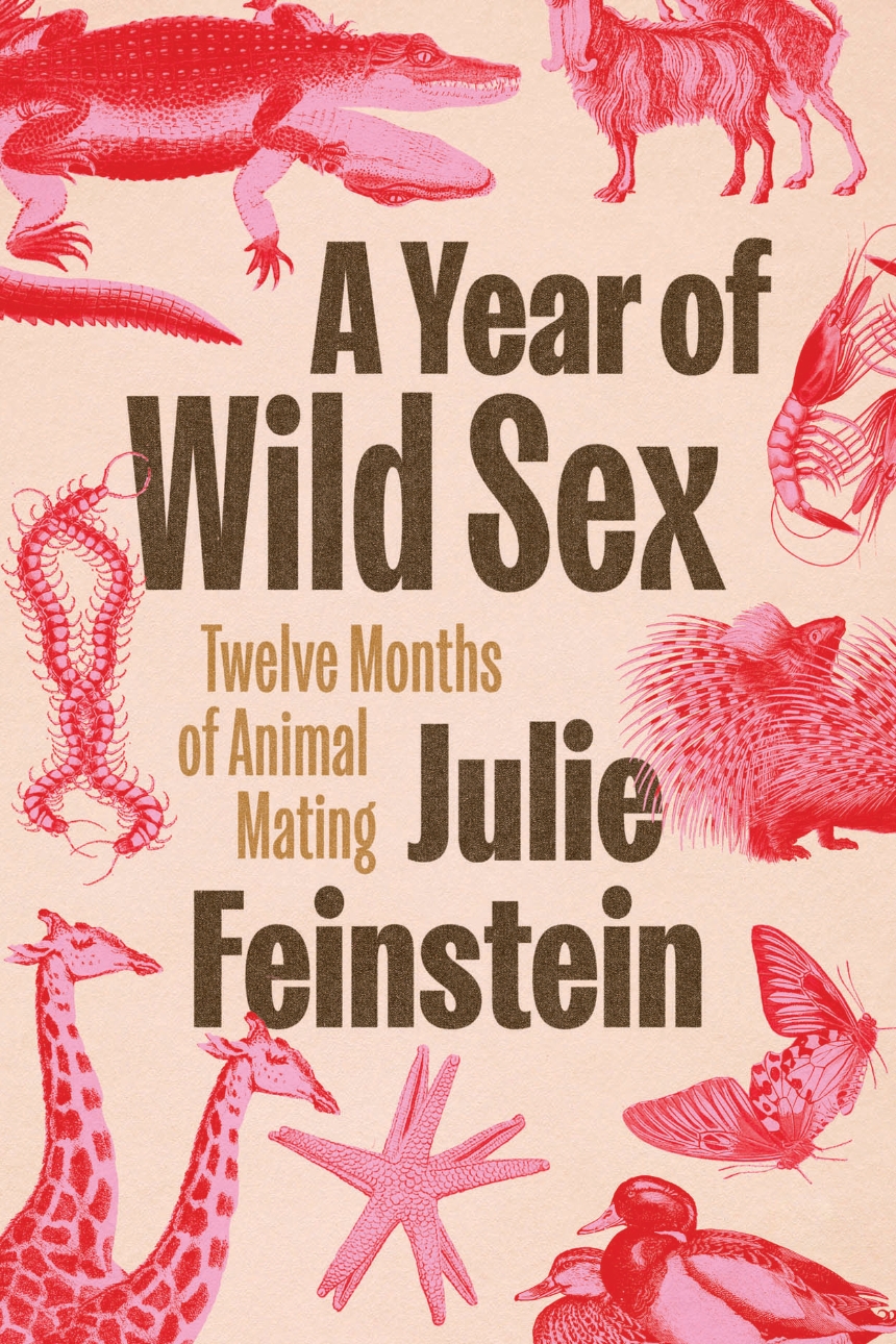 A Year of Wild Sex