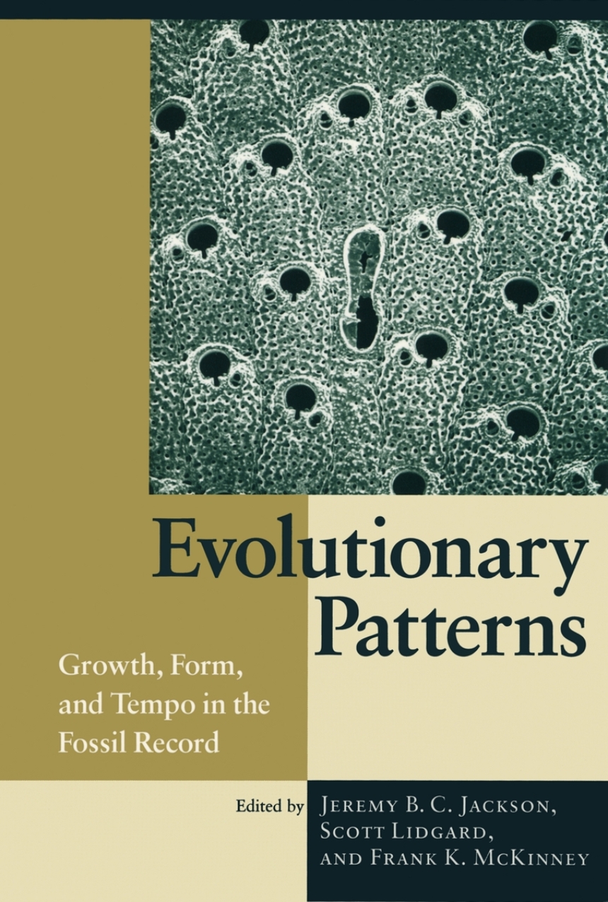 Evolutionary Patterns