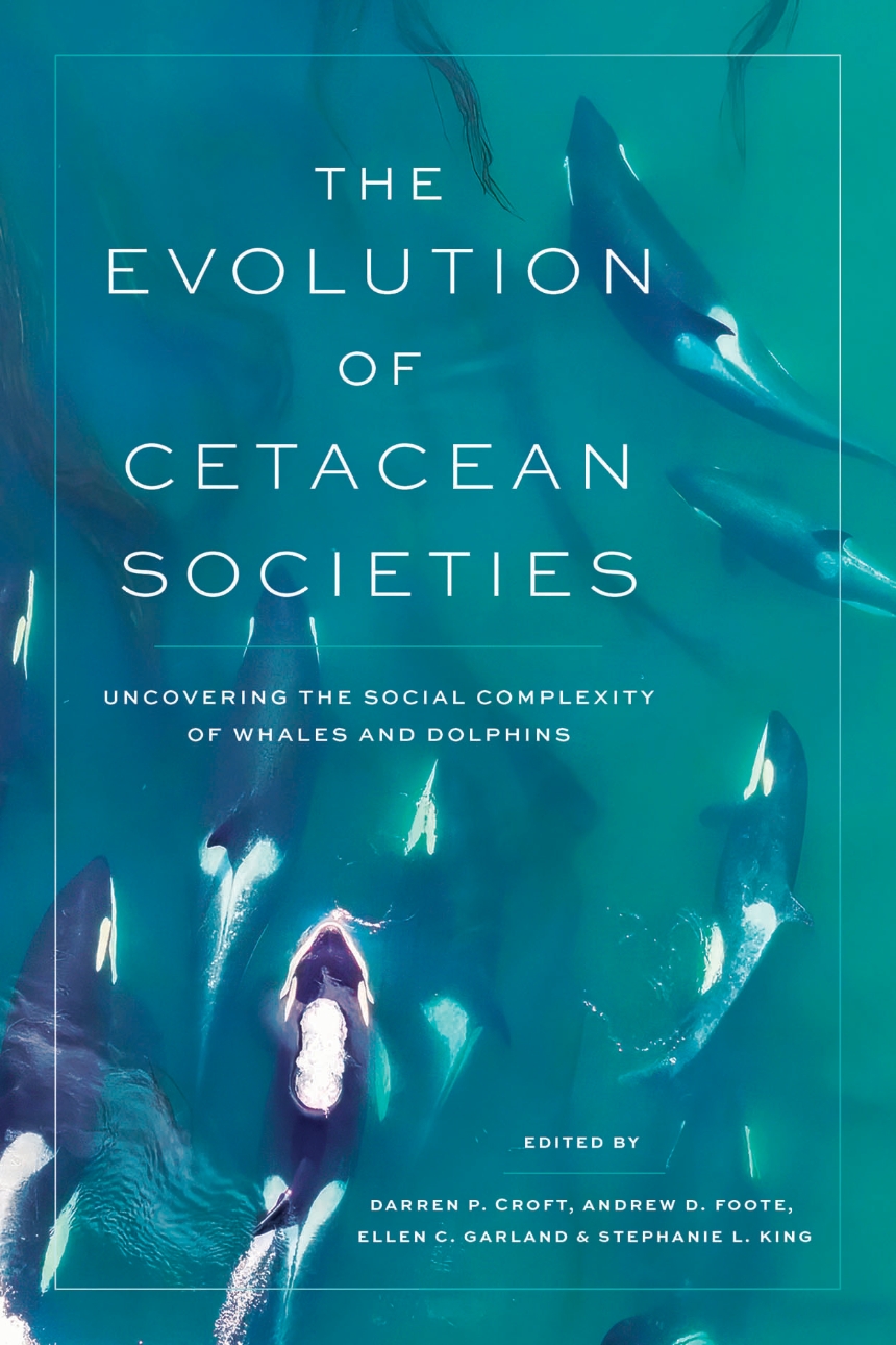 The Evolution of Cetacean Societies