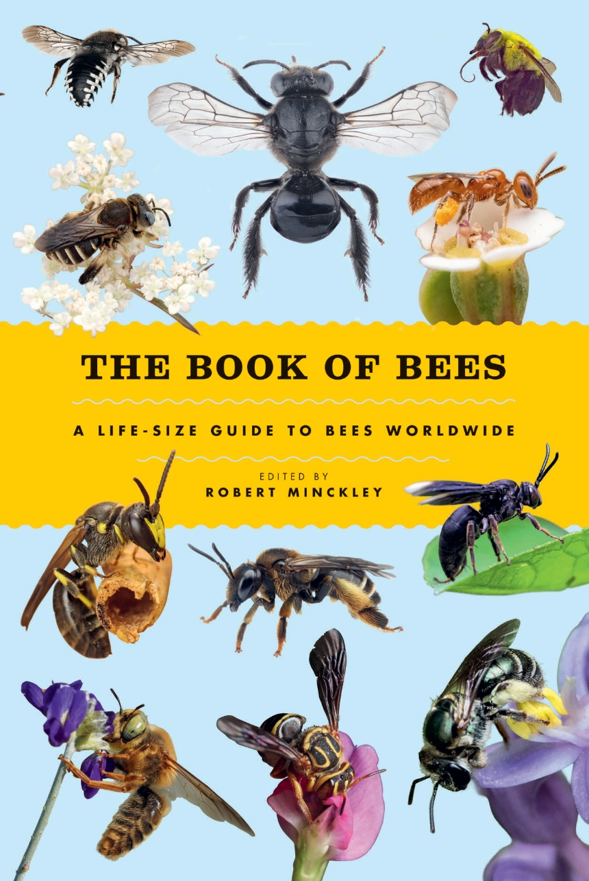 The Book of Bees