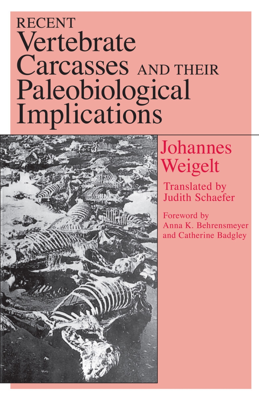 Recent Vertebrate Carcasses and Their Paleobiological Implications