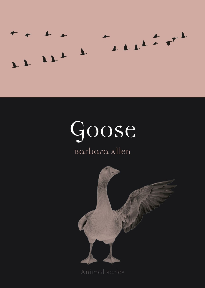Goose