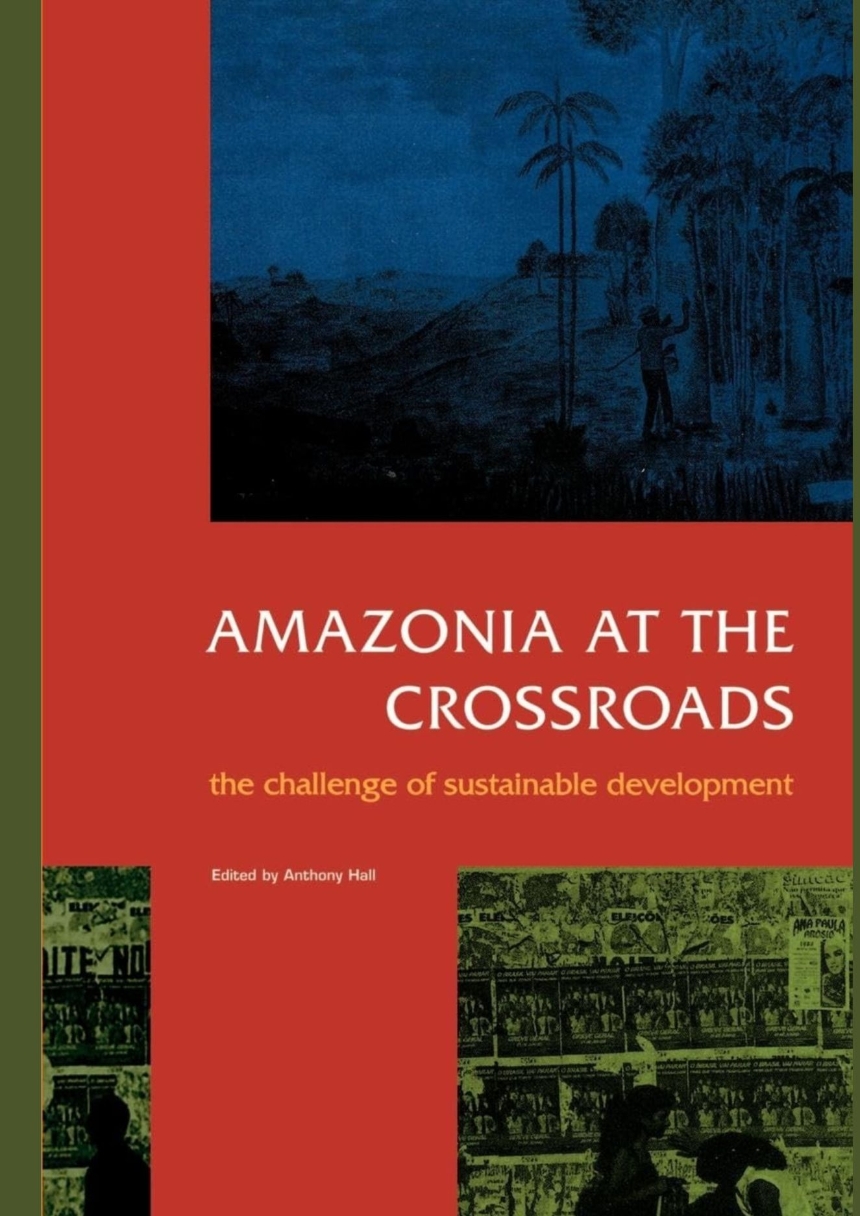 Amazonia at the Crossroads