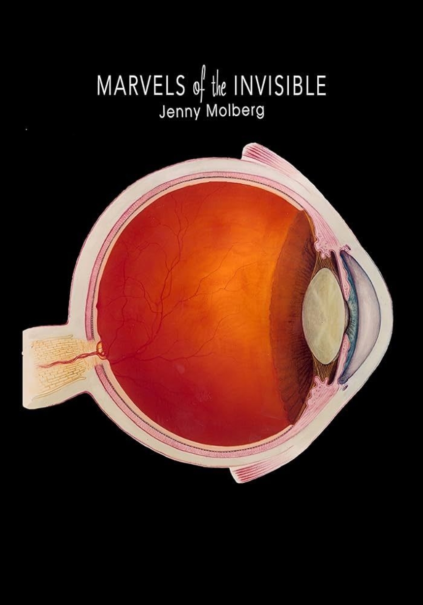 Marvels of the Invisible