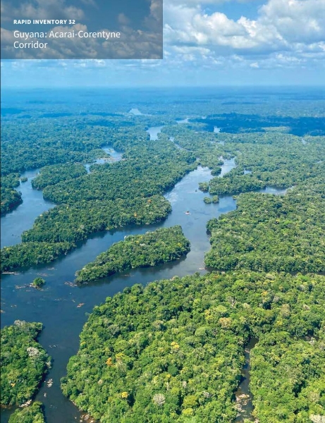 Guyana: Acarai-Corentyne Corridor: Rapid Biological and Social Inventories Report 32