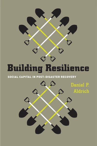 Building Resilience: Social Capital in Post-Disaster Recovery