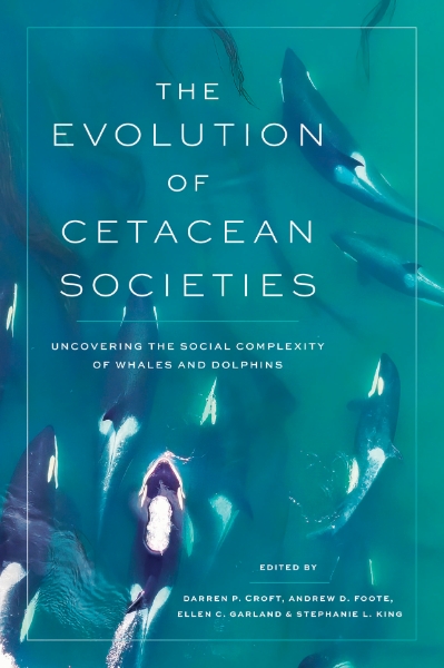 The Evolution of Cetacean Societies: Uncovering the Social Complexity of Whales and Dolphins
