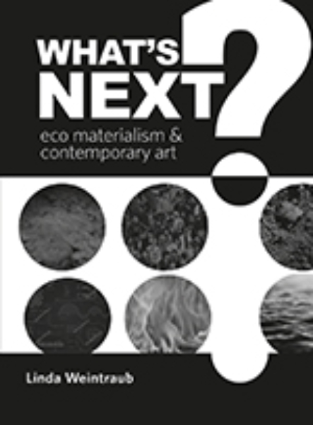 What’s Next?: Eco Materialism and Contemporary Art