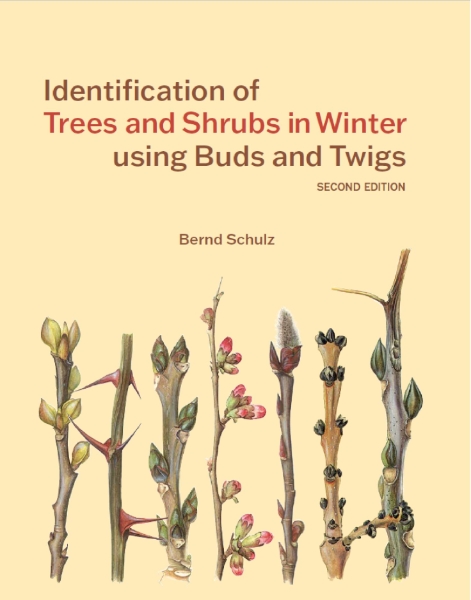 Identification of Trees & Shrubs in Winter Using Buds and Twigs, Second Edition