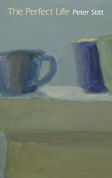 The Perfect Life: Lyric Essays