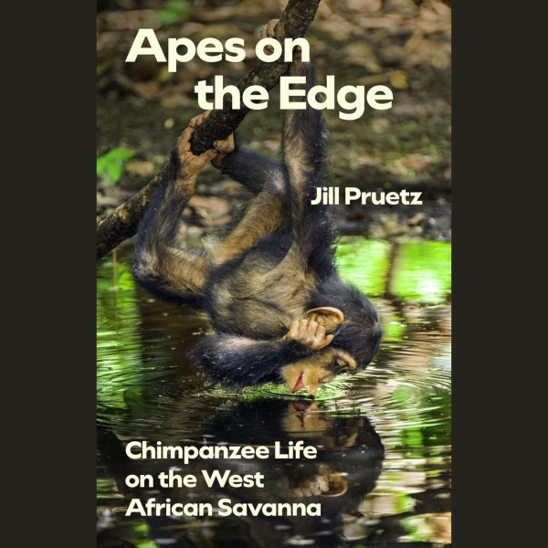 Apes on the Edge