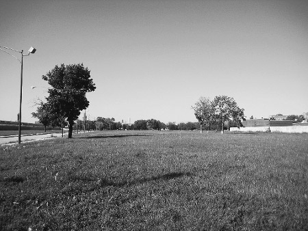 figure 1.1. In the former shadows of the projects: where the Robert Taylor Homes once stood. Photo by the author, September 13, 2007.