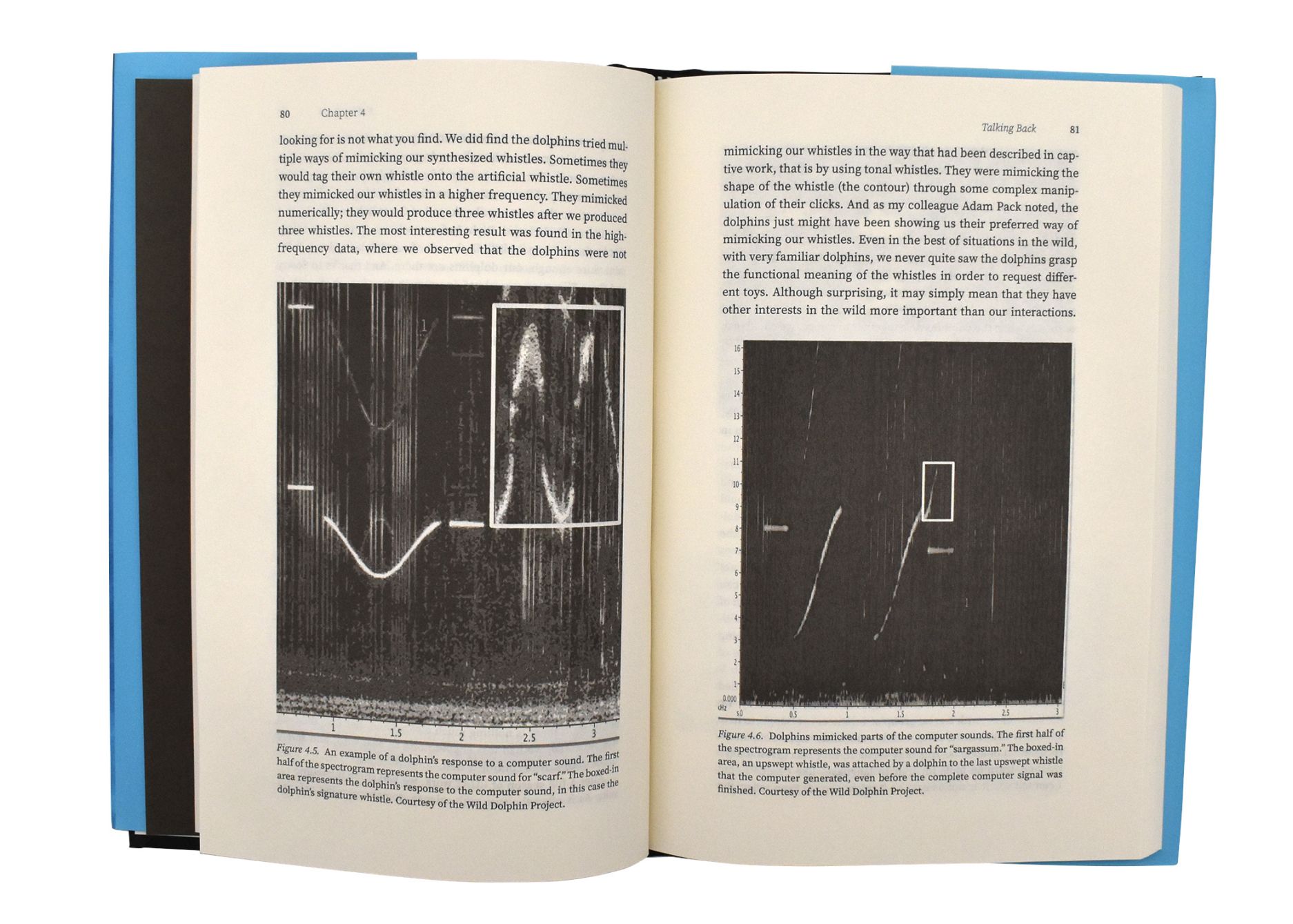 Is Anyone Listening 02 - click to open lightbox