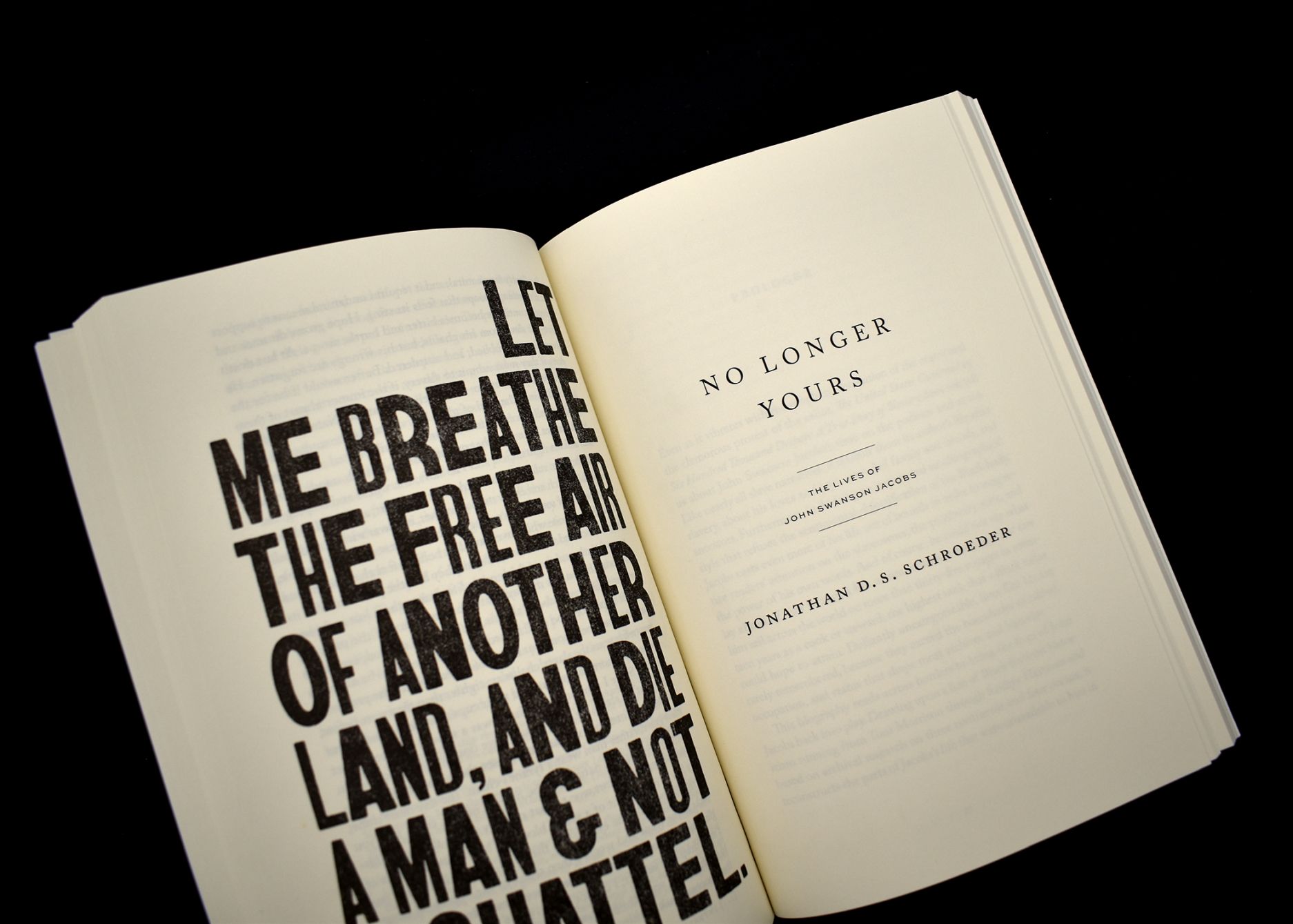 United States Governed by Six Hundred Thousand Despots 05 - click to open lightbox