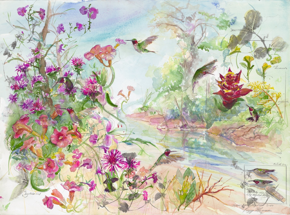 Ruby-throated Hummingbird